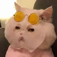 赵MX00001的礼品卡001 赵MX00001的礼品卡001_1