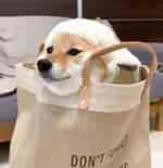 赵MX00001的礼品卡001 赵MX00001的礼品卡001_2