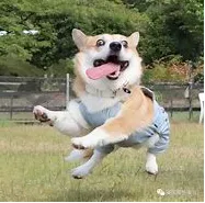 赵MX00001的礼品卡001 赵MX00001的礼品卡001_4
