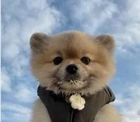 赵MX00001的礼品卡001 赵MX00001的礼品卡001_5