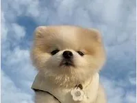 赵MX00001的礼品卡001 赵MX00001的礼品卡001_6
