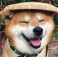 赵MX00001的礼品卡001 赵MX00001的礼品卡001_7